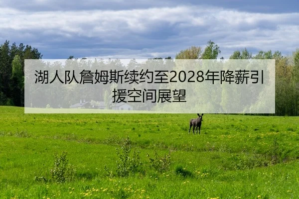 湖人队詹姆斯续约至2028年降薪引援空间展望